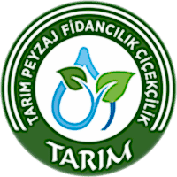 Tarım Peyzaj